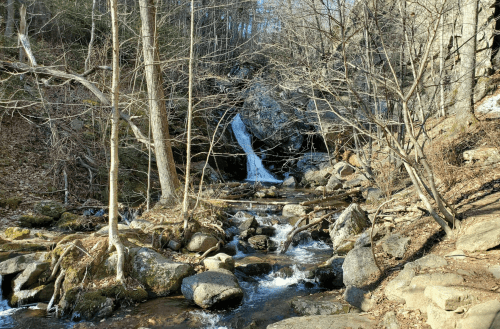 A serene waterfall cascades over rocks, surrounded by bare trees and a peaceful stream in a wooded area.