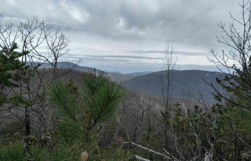 A scenic view of rolling mountains under a cloudy sky, with pine trees in the foreground.