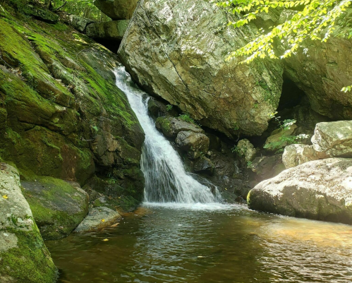 A serene waterfall cascades over moss-covered rocks into a calm pool surrounded by lush greenery.