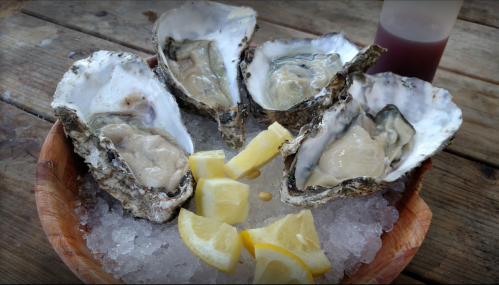 A wooden bowl filled with fresh oysters on ice, garnished with lemon wedges and a small container of sauce.