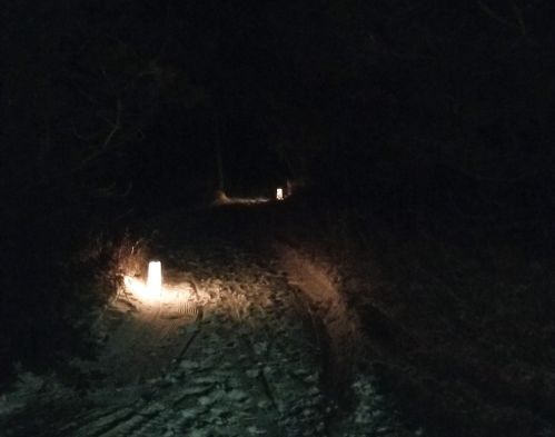 A dimly lit snowy path at night, with glowing lanterns marking the way through a dark forest.