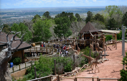 A scenic view of a zoo area with giraffes, visitors, and lush greenery against a backdrop of distant mountains.