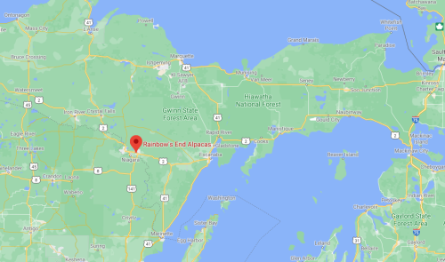 Map showing the location of Rainbow's End Alpacas in Michigan, near Gwinn State Forest Area and Hiawatha National Forest.