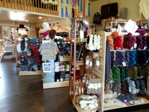 A cozy yarn shop filled with colorful skeins of yarn displayed on shelves and racks.