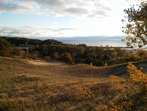 A scenic view of a sandy dune landscape with autumn foliage and a lake in the background under a cloudy sky.