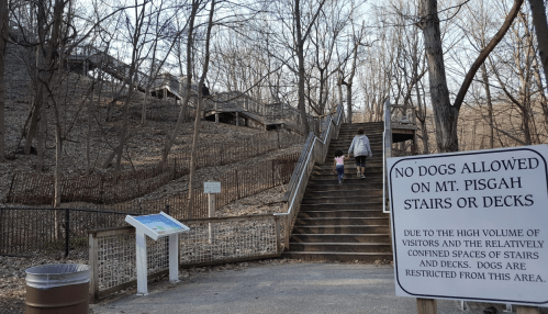 A person and a child walk up wooden stairs in a wooded area, with a sign stating no dogs allowed.