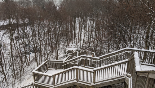 A winding wooden staircase descends through a snowy forest, surrounded by bare trees and a serene winter landscape.
