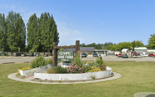 Sign for Olympic Game Farm surrounded by flowers and greenery, with a parking lot and buildings in the background.