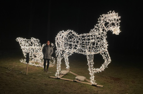 A person stands next to a large illuminated horse and sleigh made of lights in a dark outdoor setting.