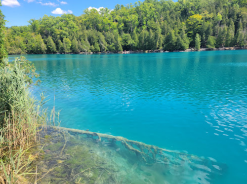 A serene lake with turquoise water, surrounded by lush green trees and a clear blue sky.