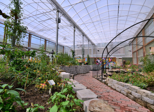 A vibrant greenhouse with a brick path, lush plants, and colorful artwork in the background.
