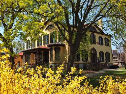 A historic yellow house surrounded by vibrant green trees and blooming yellow flowers on a sunny day.