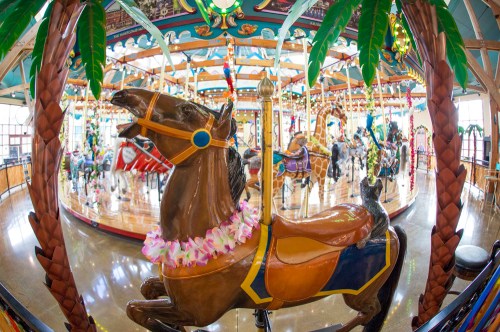 A colorful carousel featuring intricately designed horses and a camel, surrounded by festive decorations.