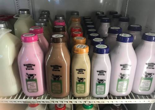 Bottles of milk in various flavors, labeled "Smiling Hill Farm," arranged on a refrigerator shelf.