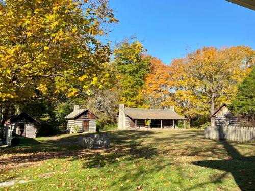 A rustic log cabin surrounded by colorful autumn trees and small outbuildings on a grassy area.