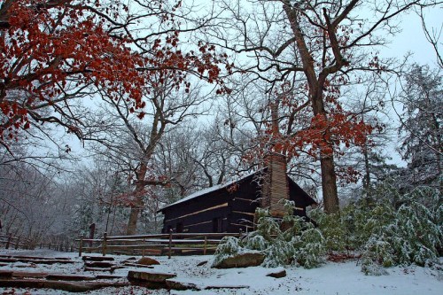 A rustic cabin surrounded by snow-covered trees and red autumn leaves, creating a serene winter landscape.