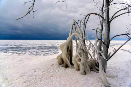 A frozen landscape with a bare tree and icy formations by a calm, overcast lake.