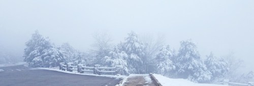 A snowy landscape shrouded in fog, with trees covered in snow and a path leading into the mist.