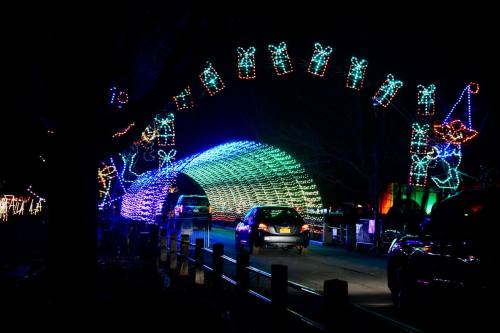 Colorful holiday lights form an arch over a road, with cars passing underneath at night.