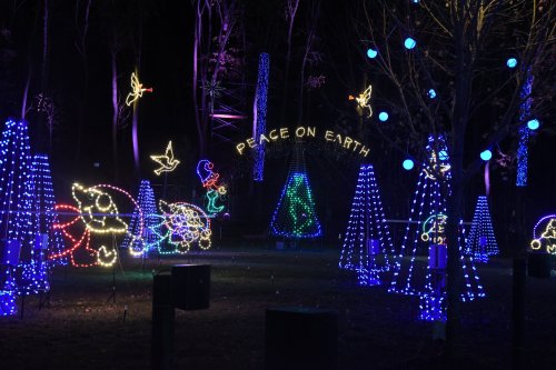 Colorful holiday lights illuminate trees and decorations, featuring the phrase "Peace on Earth" in a festive display.