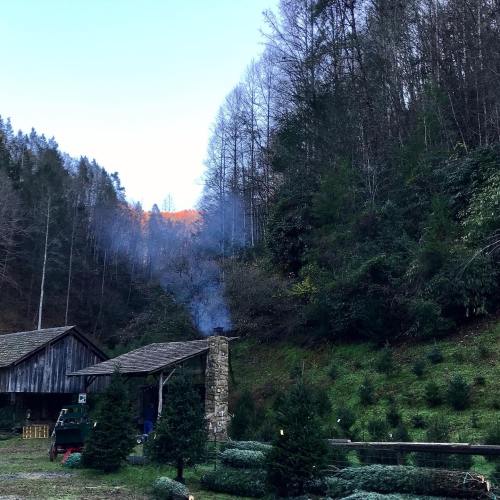 A rustic cabin surrounded by trees, with smoke rising from a chimney and a hint of sunlight on the mountains in the background.