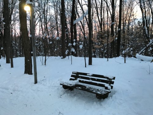 A snow-covered bench in a wooded area at dusk, with trees and a streetlamp in the background.