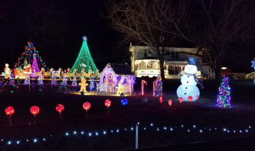Colorful holiday lights decorate a yard with a snowman, Christmas trees, candy canes, and a festive carousel.