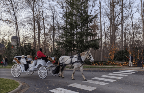A white horse-drawn carriage with passengers passes by, surrounded by trees and festive lights in the background.