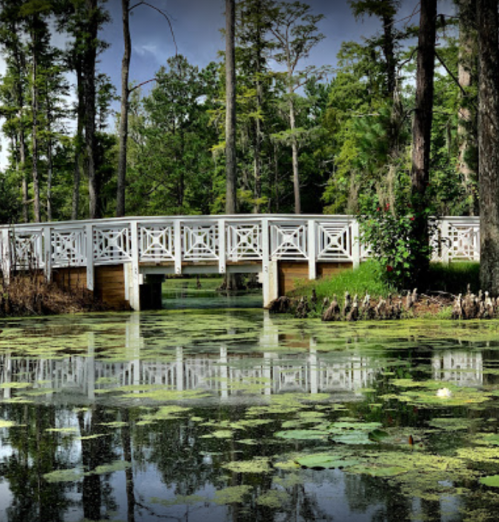 A white wooden bridge spans a serene pond surrounded by lush greenery and lily pads.