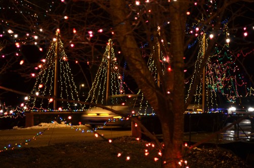 Colorful holiday lights illuminate trees and pathways at night, creating a festive atmosphere.