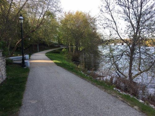 A peaceful riverside path lined with trees, leading along the water's edge on a sunny day.