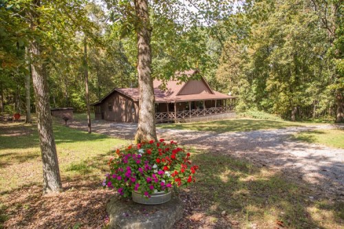 A rustic cabin surrounded by trees, with a flower pot in the foreground and a gravel path leading to the entrance.