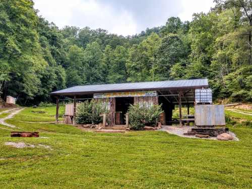A rustic wooden building with a metal roof, surrounded by trees and grass, featuring a sign that reads "Saloon."