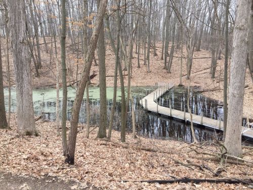 A wooden dock extends over a dark pond surrounded by bare trees and fallen leaves in a wooded area.