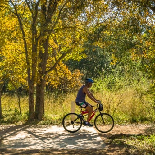 A person rides a bicycle along a path surrounded by trees with autumn foliage.
