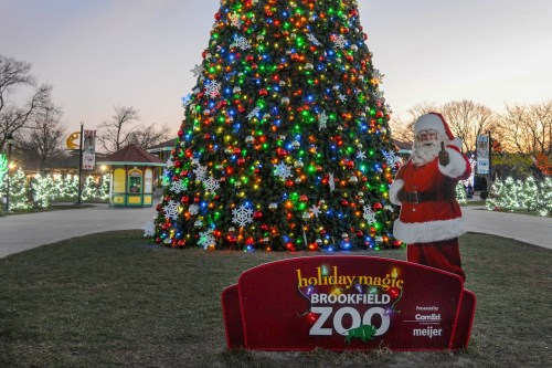 A large, decorated Christmas tree stands in front of a sign for Holiday Magic at Brookfield Zoo, with Santa nearby.