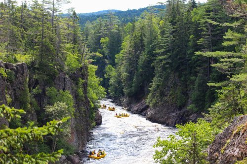 A river flows through a lush green canyon, with yellow rafts navigating the rapids under a clear blue sky.
