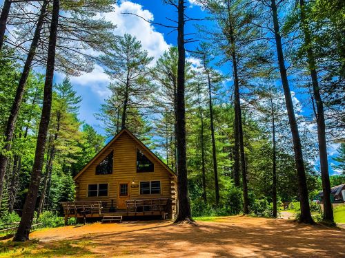 A cozy wooden cabin surrounded by tall pine trees under a bright blue sky with fluffy clouds.
