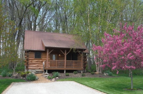 A charming log cabin with a metal roof, surrounded by greenery and a blooming pink tree in a serene outdoor setting.