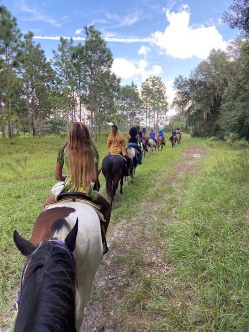 A group of people riding horses along a grassy trail in a wooded area under a blue sky.