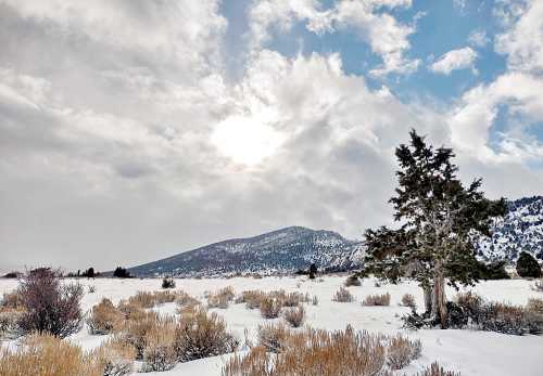 A snowy landscape with a lone tree, mountains in the background, and a partially cloudy sky with the sun peeking through.