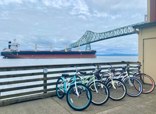 Bicycles lined up by the water with a large cargo ship and a bridge in the background under a cloudy sky.