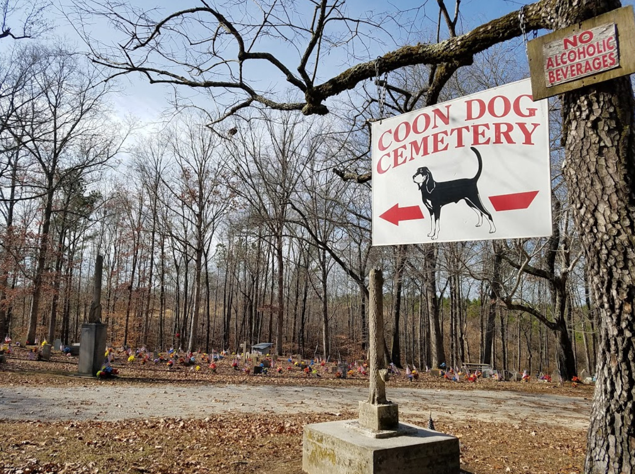 The World’s Only Coon Dog Cemetery Is Hiding In Small Town Alabama And ...