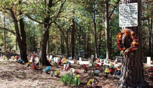 A cemetery with colorful flowers and decorations, surrounded by trees, featuring a sign about its unique significance.