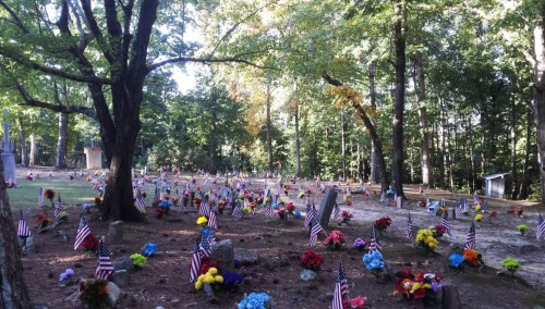 A serene cemetery scene with numerous flowers and American flags adorning gravestones, surrounded by trees.