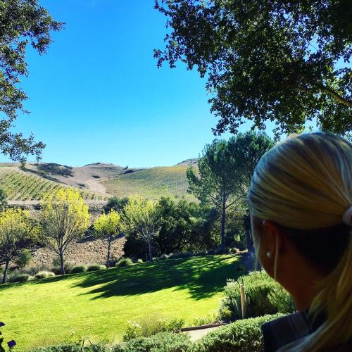 A person gazes at a scenic vineyard landscape under a clear blue sky, surrounded by trees and greenery.