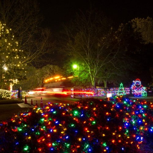 Colorful holiday lights illuminate a festive scene with a decorated tree, Santa figure, and blurred car lights at night.
