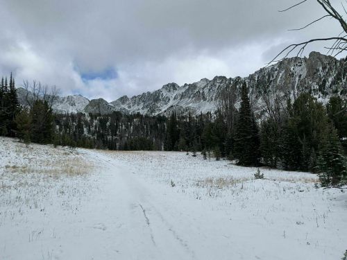 A snowy path leads through a forested area, with mountains rising in the background under a cloudy sky.
