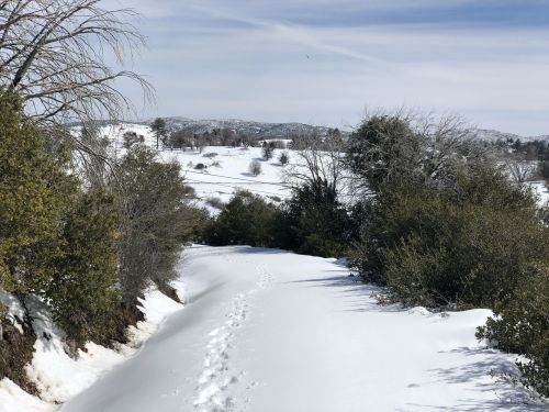 A snowy path winds through a winter landscape, flanked by trees and hills under a cloudy sky.