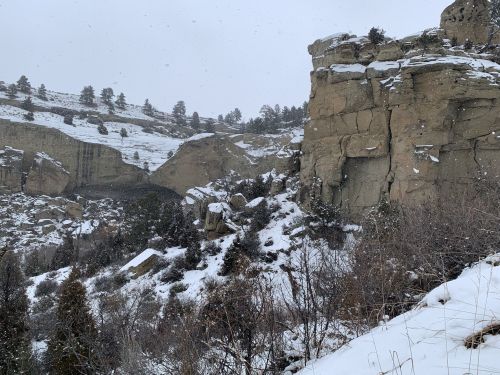 Snow-covered cliffs and rocky terrain under a gray sky, with scattered trees in a winter landscape.